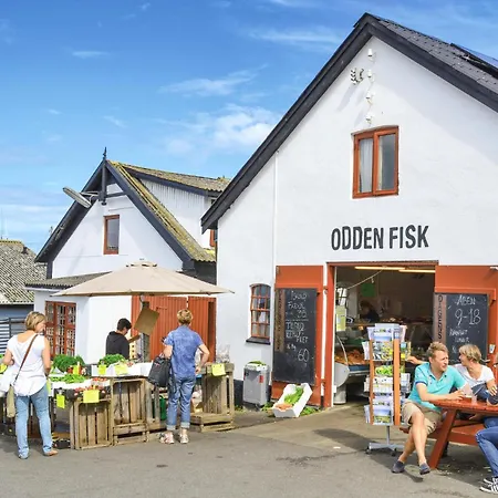 Feriehus ørnevej Sjællands Odde Denm